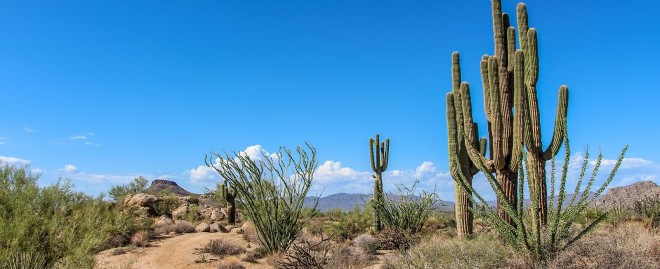  Exploring the Wonders of the High Desert: Your Ultimate Guide with High Desert Travel LLC